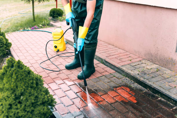 Best Window and Screen Pressure Cleaning in Manor, TX